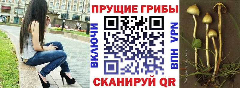 Галлюциногенные грибы прущие грибы  mega   Сунжа  где купить наркоту 