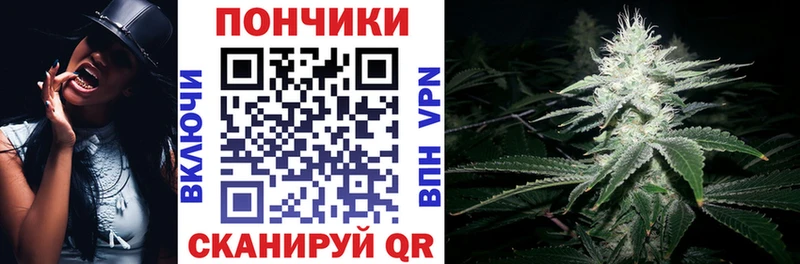 Каннабис Bruce Banner  Сунжа 